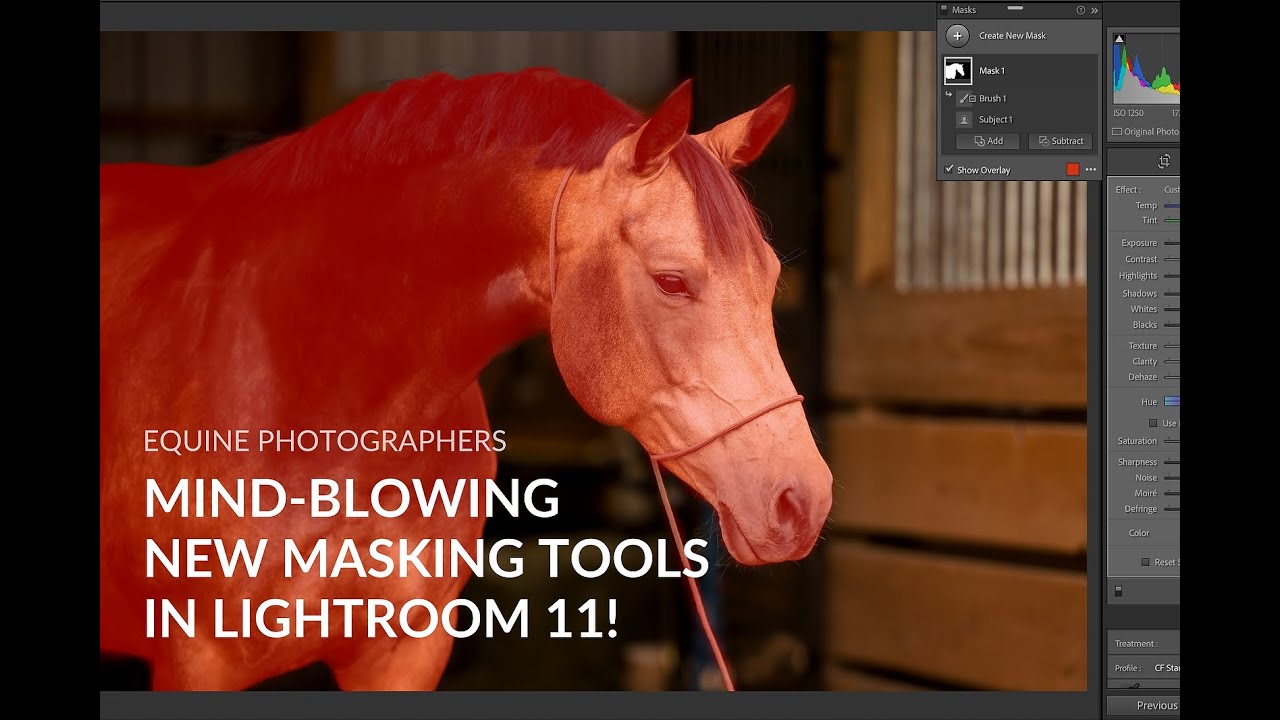 Equine Photographers: Check out these mind-blowing new masking tools in Lightroom 11!