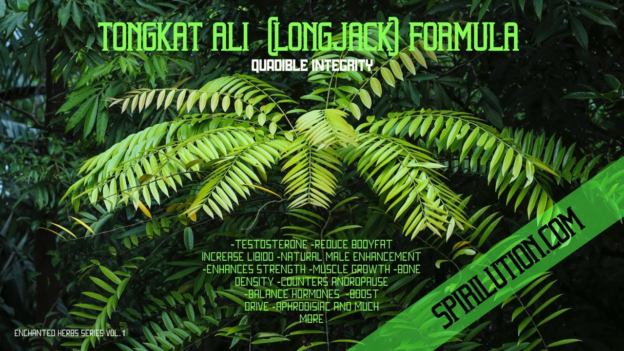 (Healing Music)★Tongkat Ali - Longjack Formula★(Testosterone - Natural Male Enhancement Aphrodisiac)
