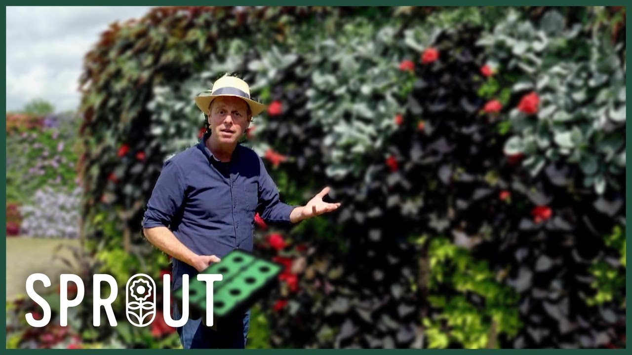 Summer Garden Secrets - Wildflowers, Veg, Pruning & Pesto Tips