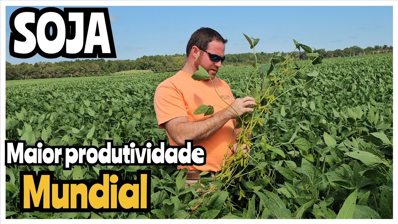 VISITA A FAZENDA DO PRODUTOR CAMPEÃO DE PRODUTIVIDADE DE SOJA NO MUNDO