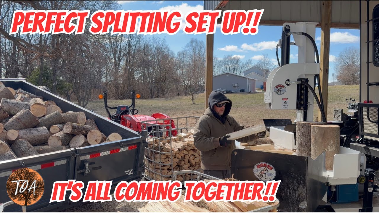 Maple Score Splitting With Woodyard Evolution!! #firewood #wolferidge #woodsplitting 