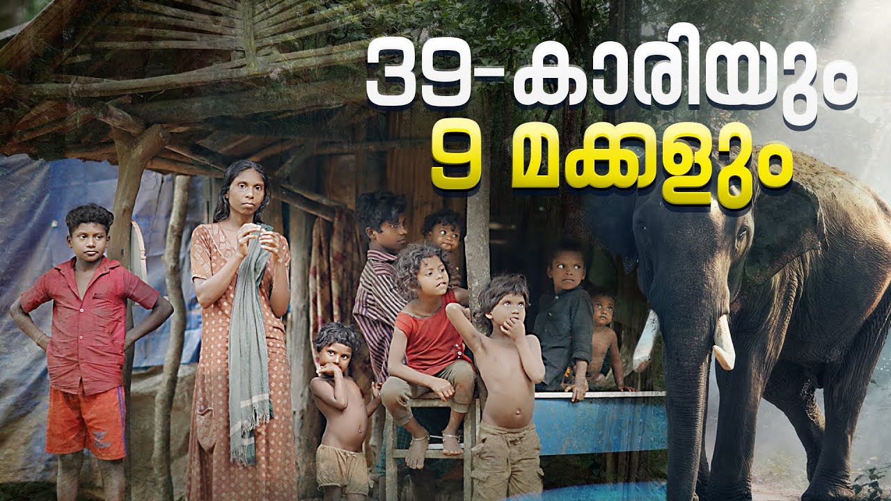 ആനയോടു മല്ലിട്ട് കാട്ടിൽ കഴിയുന്ന 39-കാരി സുമിത്രയും 9 മക്കളും | Real Story | Arun Raghavan