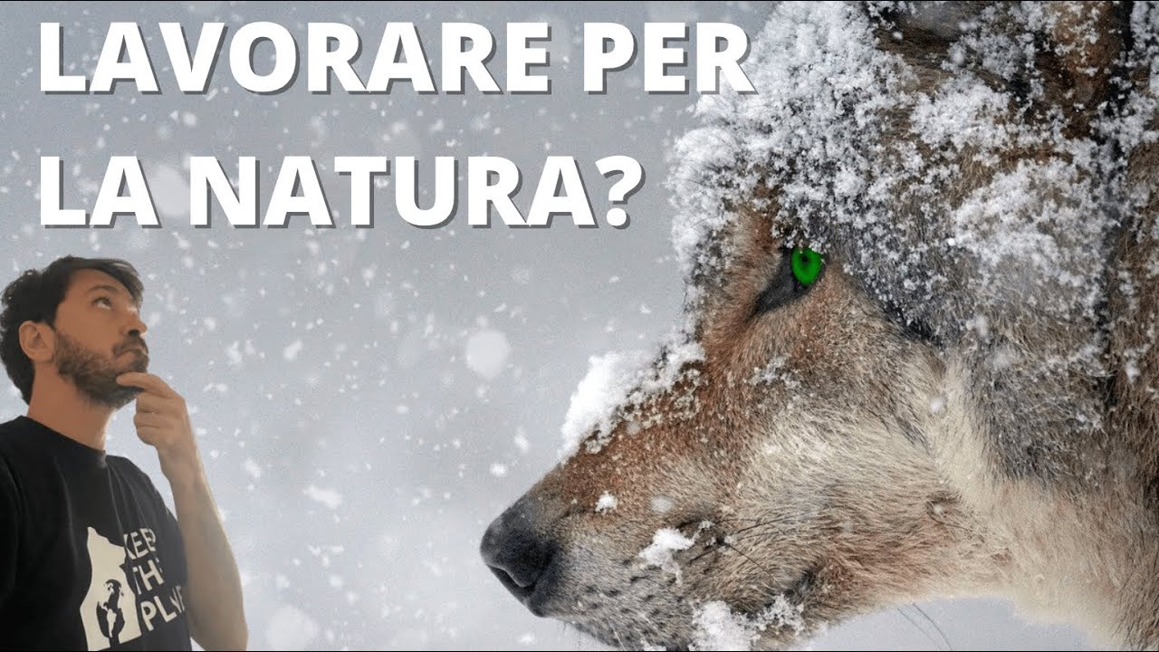 Lavorare nella natura 🐛 è facile se sai come farlo