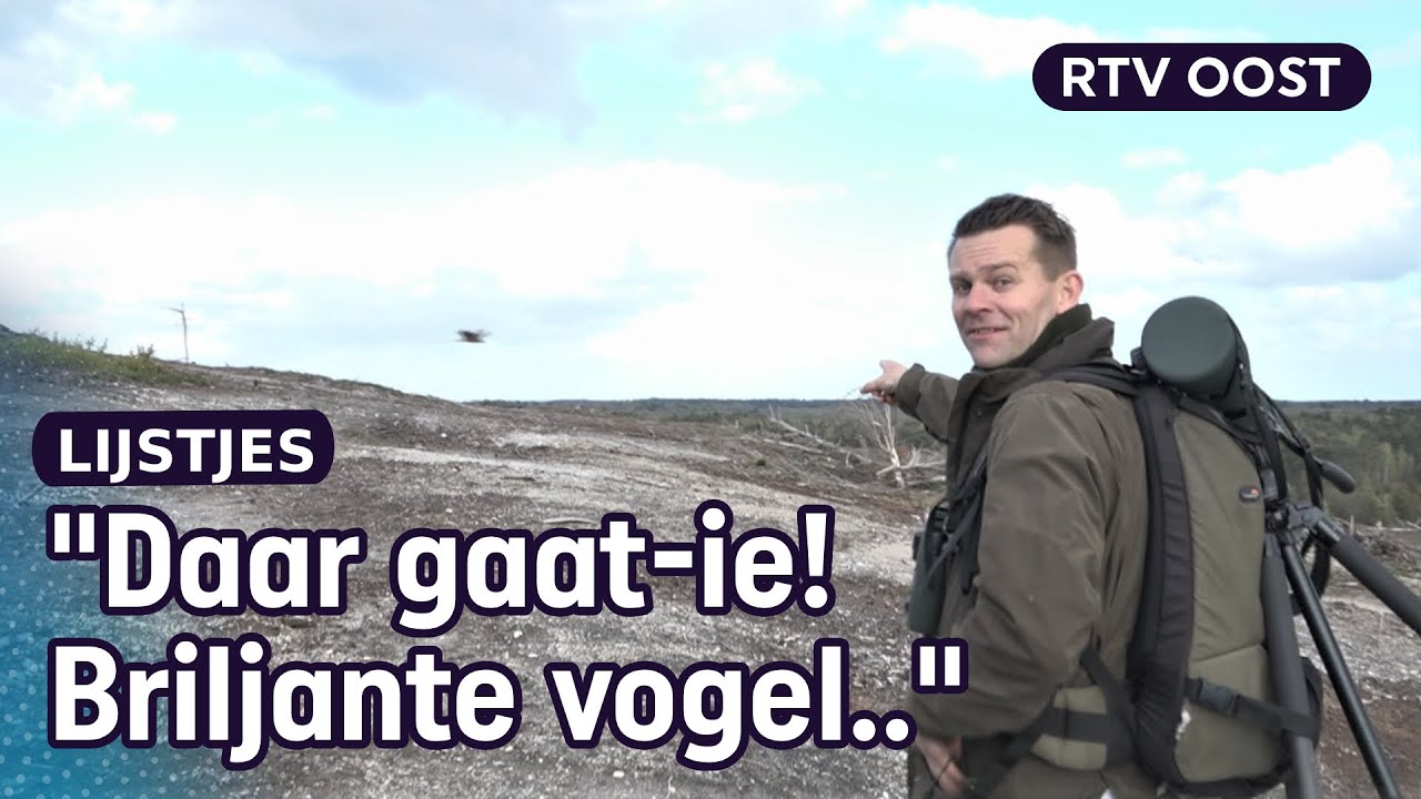 Lammergier, keizerarend: speuren naar zeldzame vogels | RTV Oost