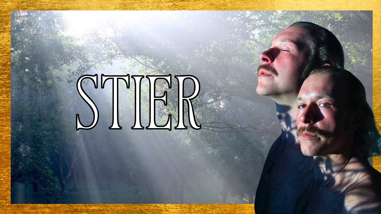 STIER  | Nachricht deines Höheren Selbst | Genug reflektiert! Zeit zu Leben! Geh raus und spiele 😁
