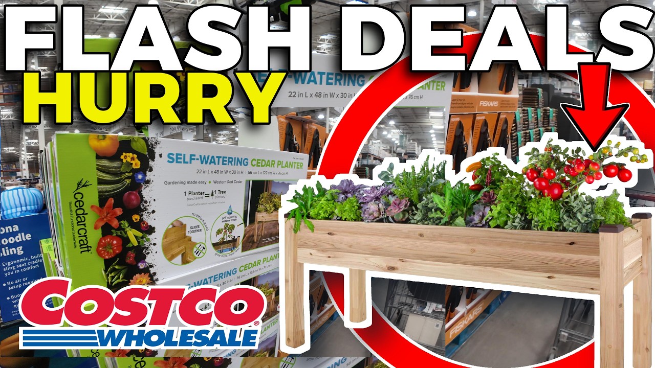 СПЕШИТЕ! 28 СРОЧНЫХ ПРЕДЛОЖЕНИЙ Costco, которые стоит купить в марте 2026 года!