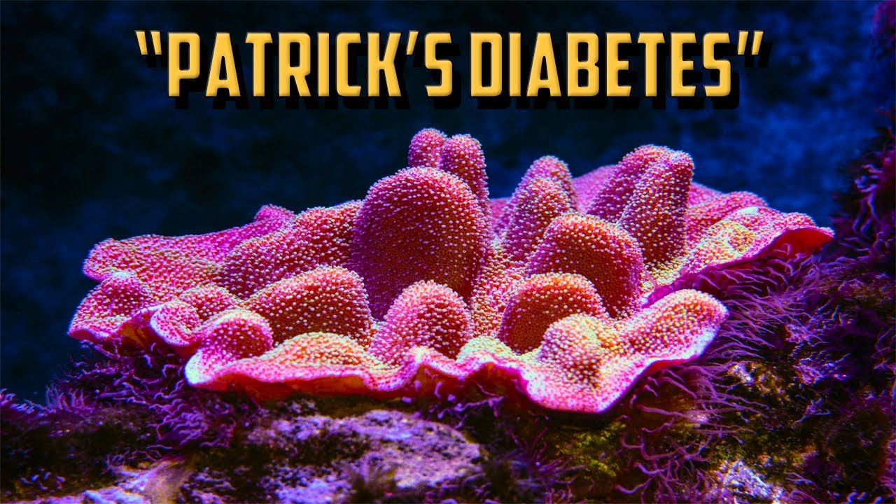"Patrick's Diabetes" Spongebob Squarepants Creepypasta