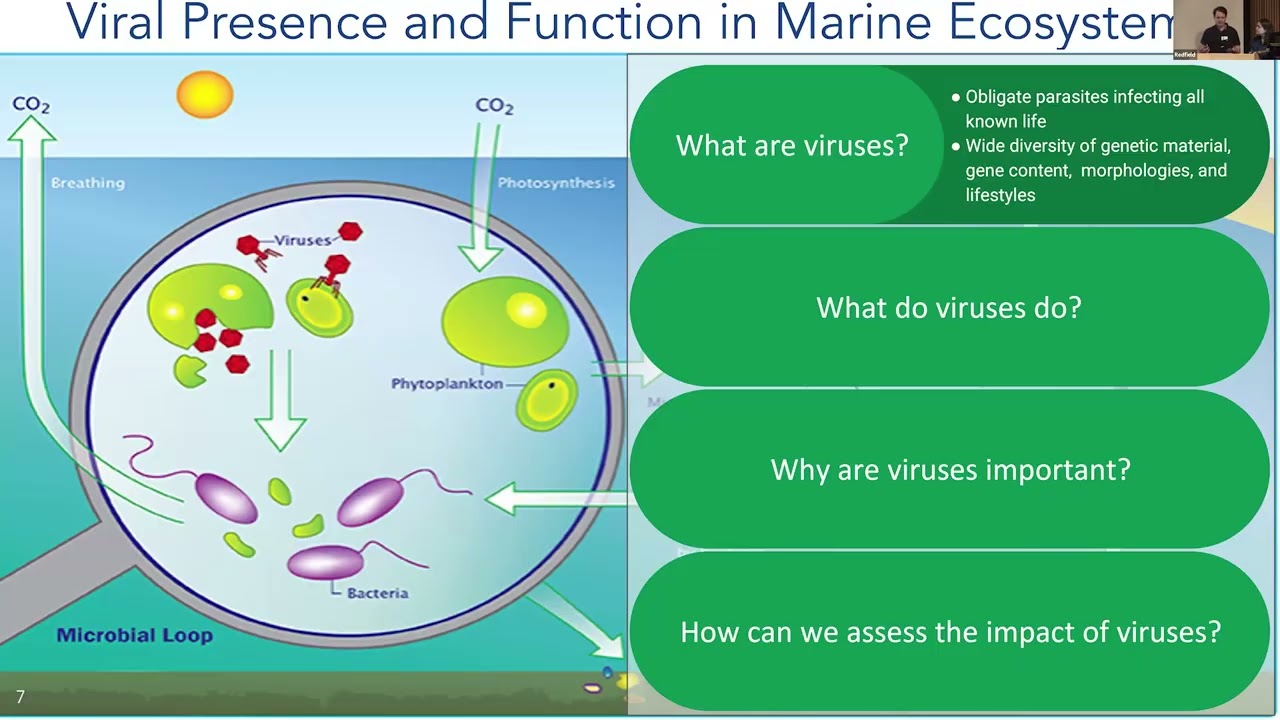 Marine Viruses Plenary OCB2024