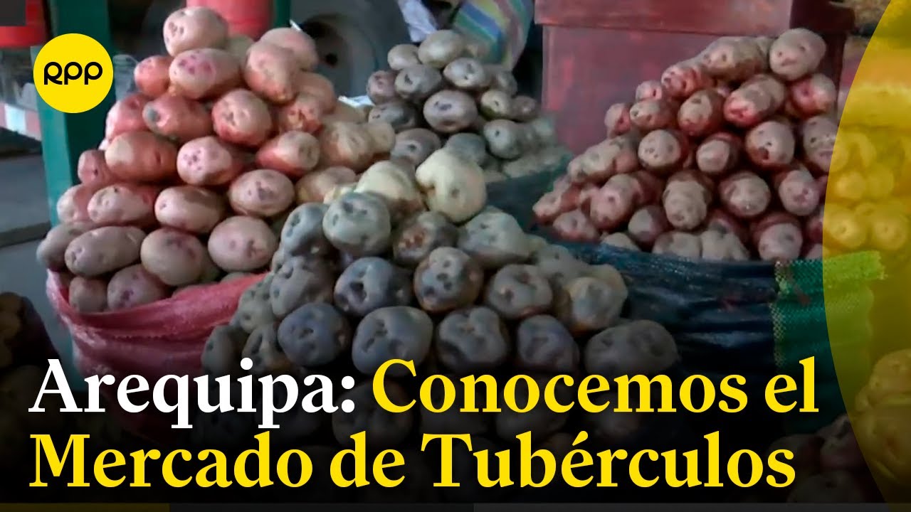 Conocemos el Mercado Mayorista de Tubérculos en Arequipa #NuestraTierra