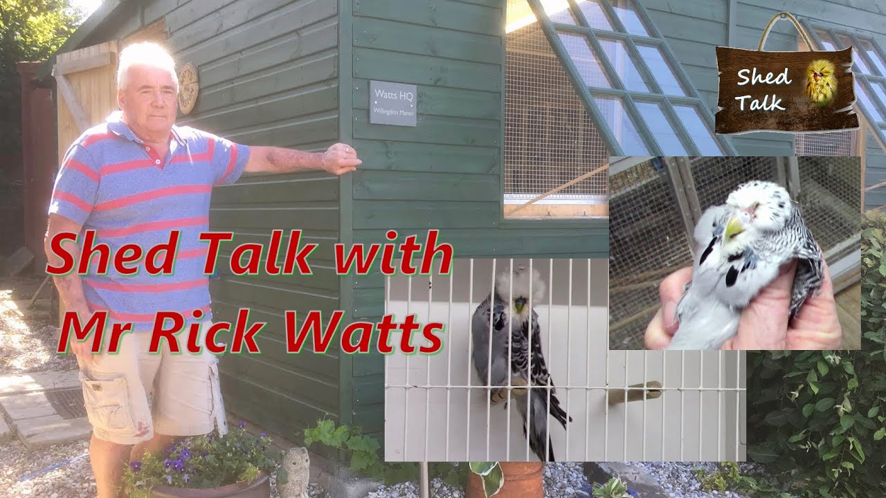 Series 2 Episode 14: Shed Talking with Mr Rick Watts