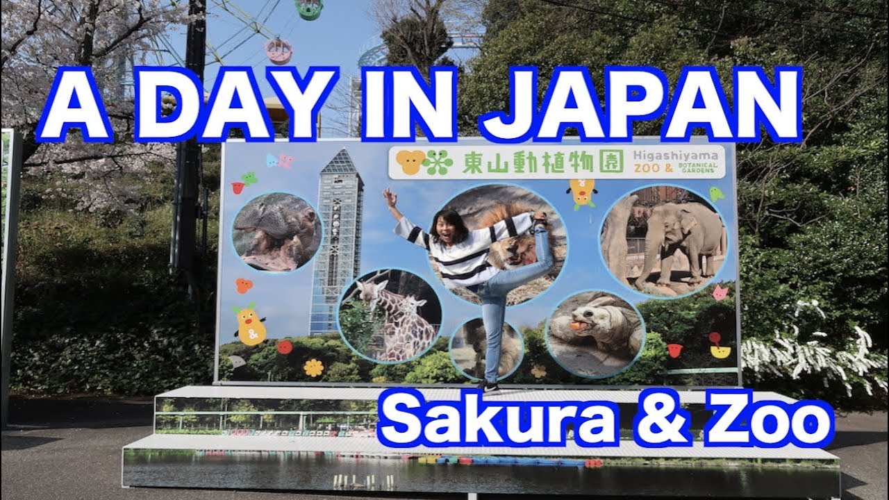 A DAY IN JAPAN! - Cherry blossoms & Zoo -