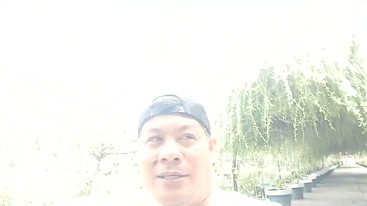 GANDA TALAGA DITO SA GARIN FARM TARA IKOT IKOT MUNA TAYO GUYS#garinfarm# everyone#youtubechannel 