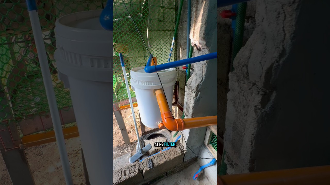 Ilan months bago maharvest ang hito 