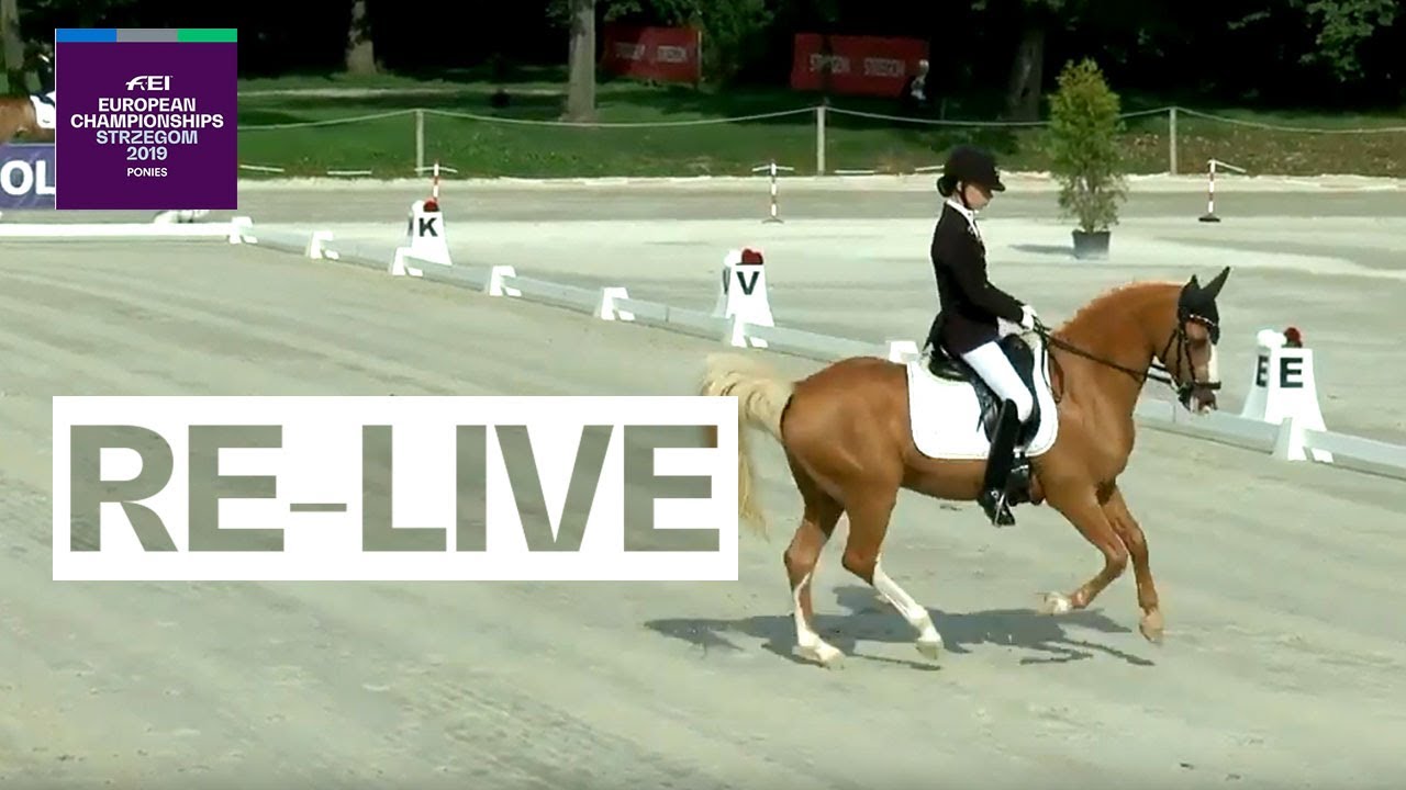 RE-LIVE | Dressage (Individual day 2) | FEI European Championships for Ponies 2019