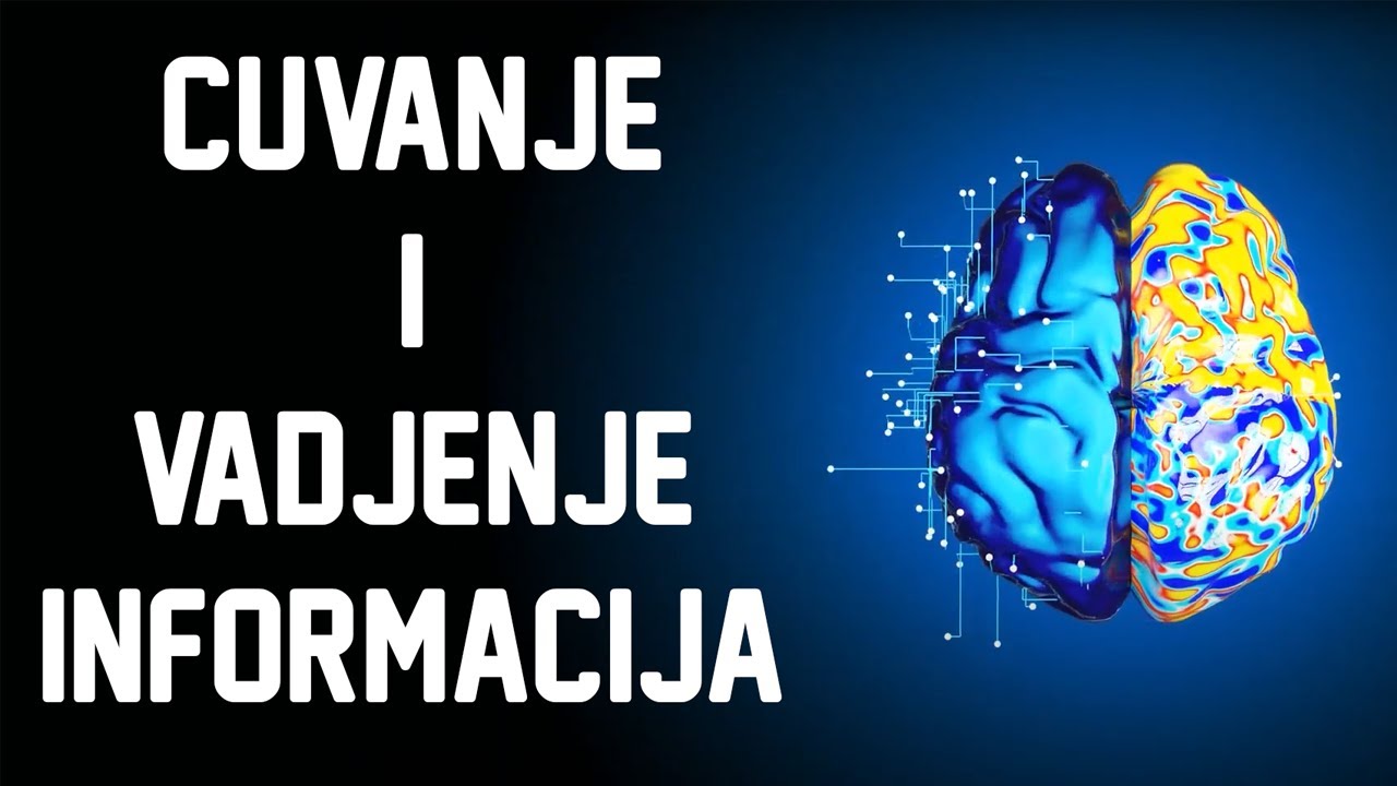 Kako nas Mozak Cuva i Preuzima Informacije
