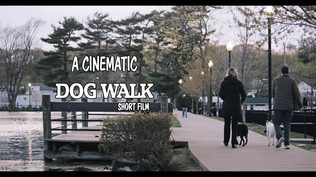 A Cinematic Dog Walk