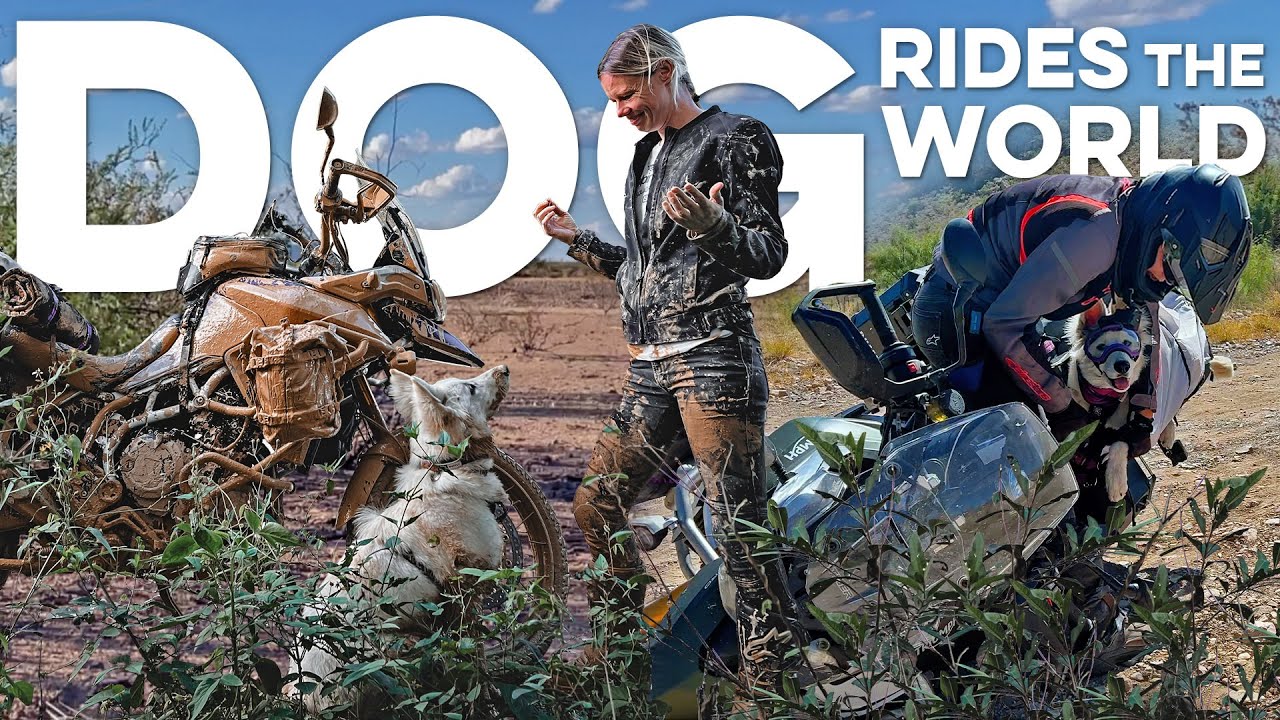This WOMAN and DOG are riding a motorcycle around the world!
