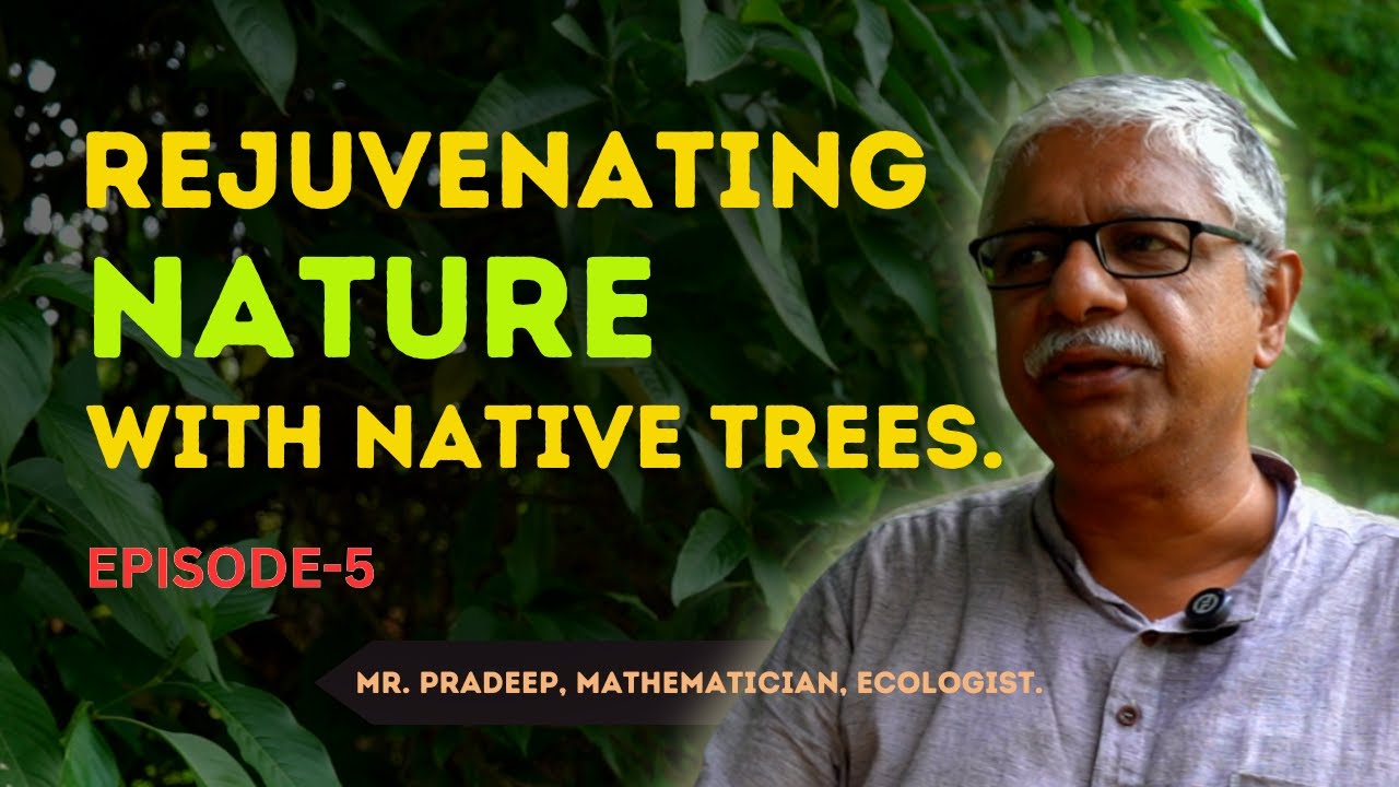 Restoring Earth with Trees|Hardwickia Binata & Sacred Tree Wisdom|Pradeep’s Native Forest Philosophy