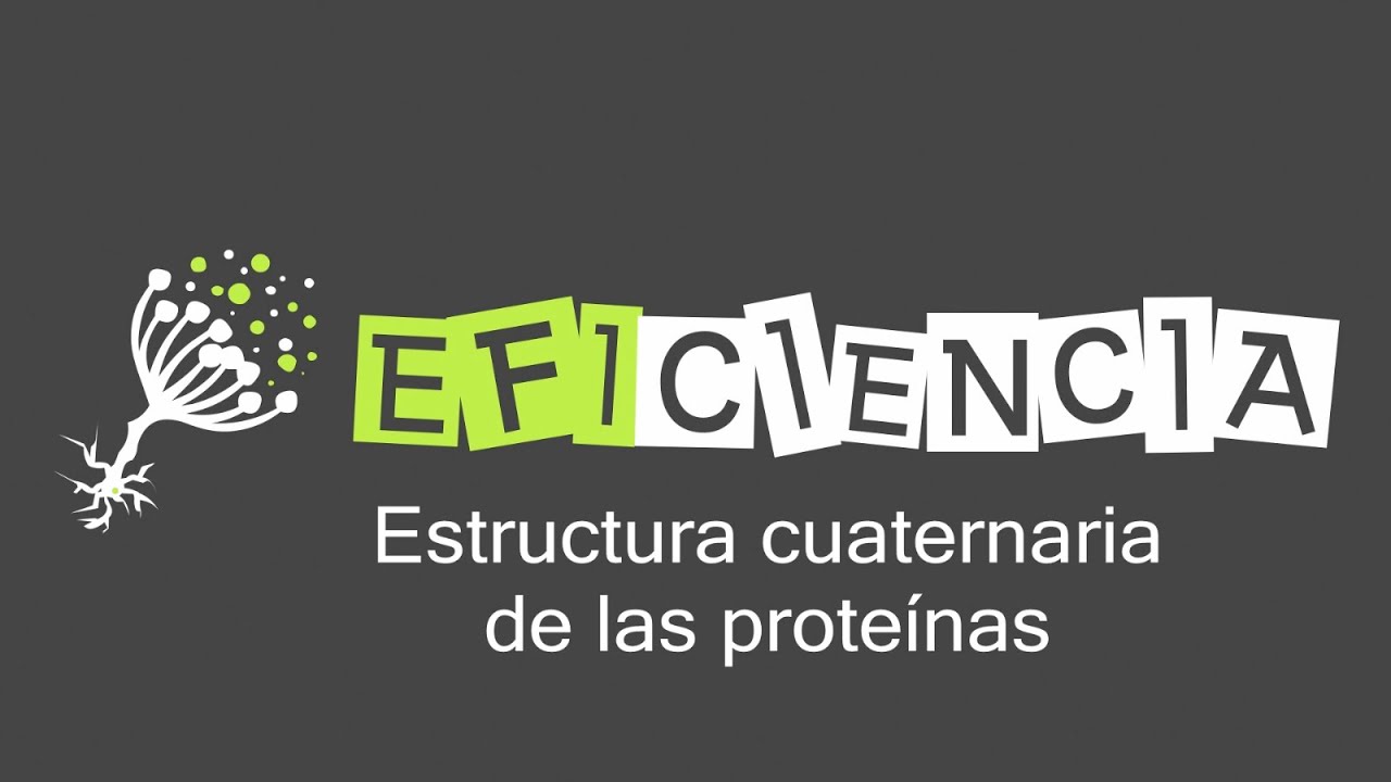 ESTRUCTURA CUATERNARIA DE LAS PROTEÍNAS. Protómeros Dímeros Trímeros...