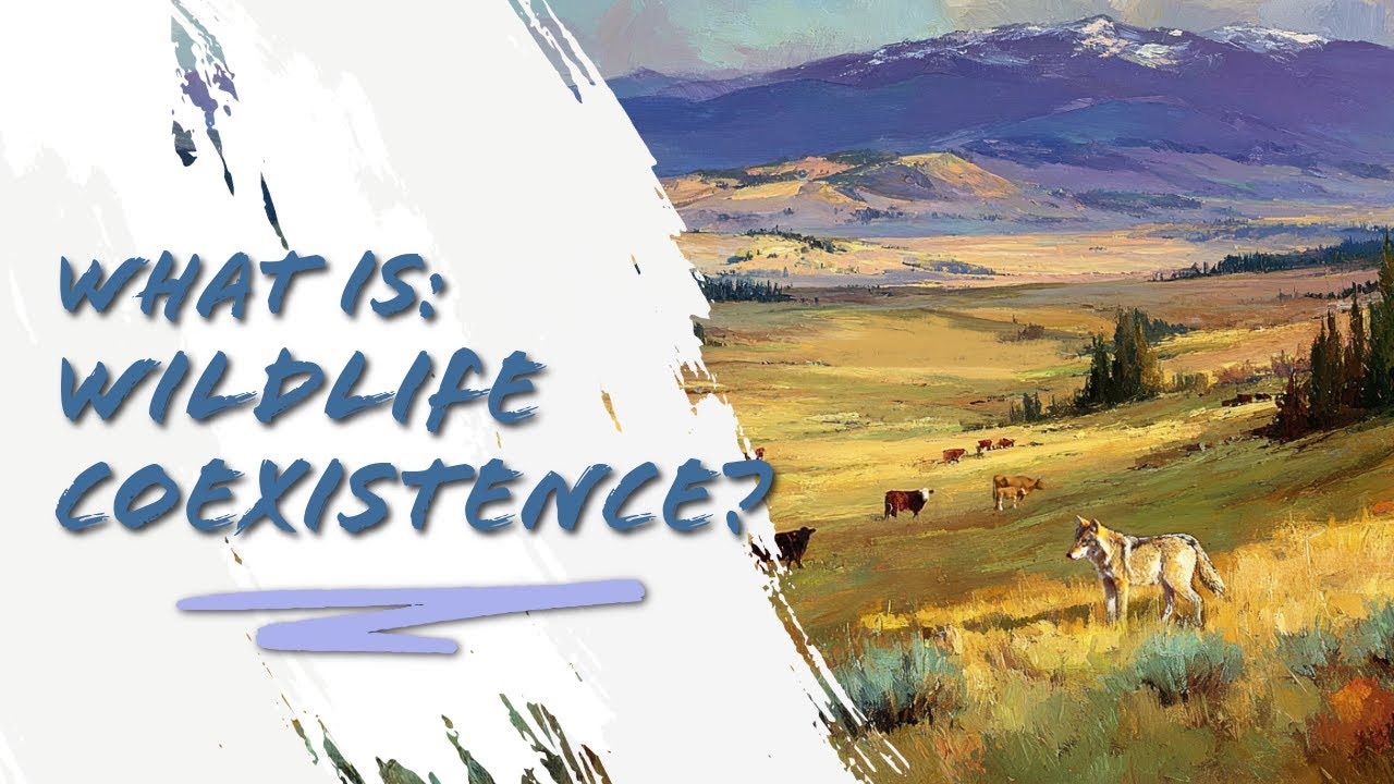 What Is Wildlife Coexistence?