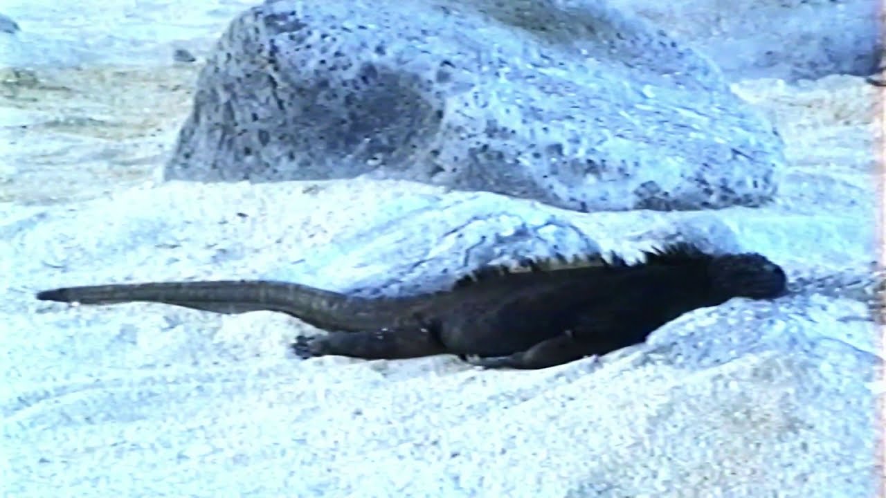 Retro VHS - Ecuador 1990 - Part 2 of 11
