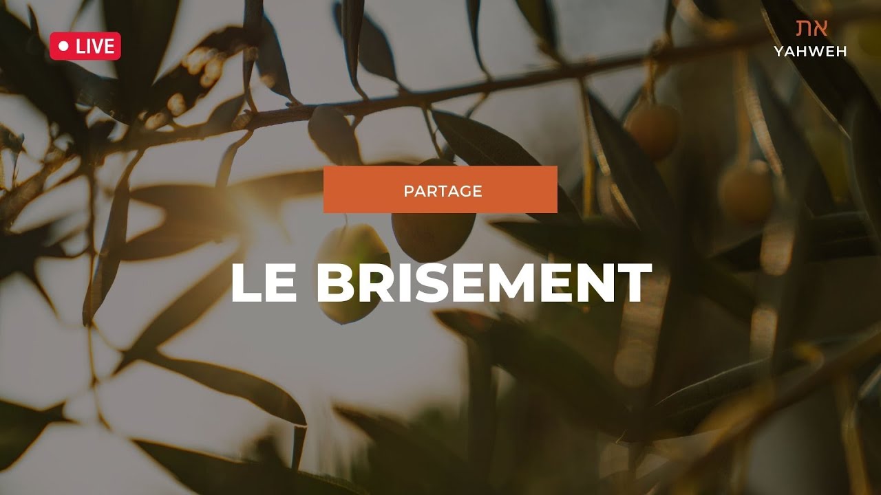 Partage | Le brisement