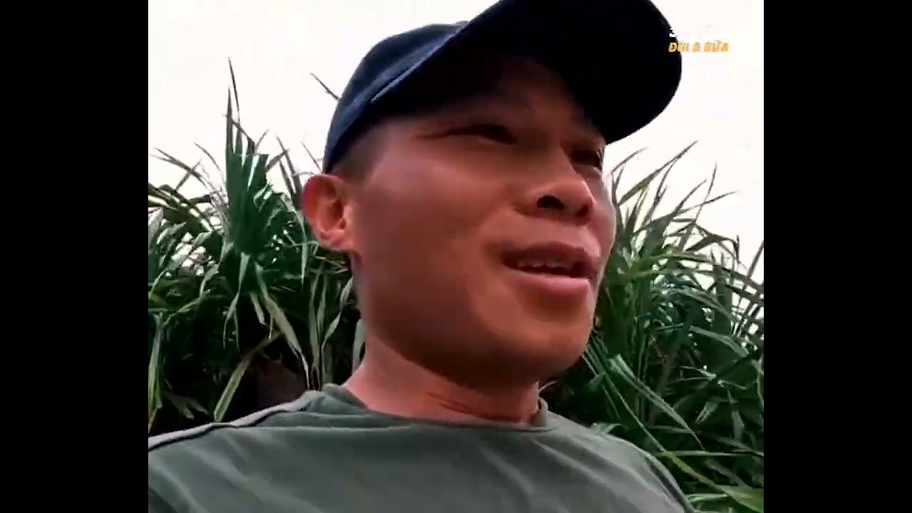 Sinh Tồn Phần 1 - Mang Theo 20 Món Hàng Do Fan Gửi Anh Chàng Sinh Tồn Thêm 1 Tháng Trên Đảo Hoang