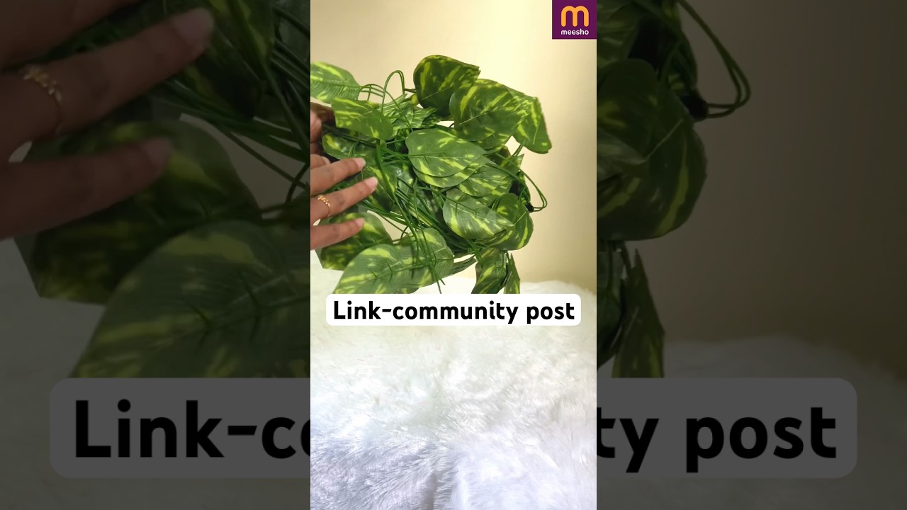 Meesho Home decor 5 under 200 money plant,vase,artificial plant #meeshohaul #meeshohomedecor
