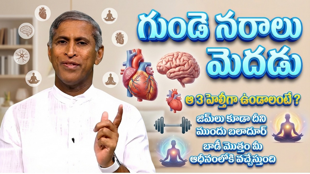 Heart Nerves Brain 3 హెల్తీగా ఉండాలంటే? | Dr Manthena Satyanarayana Raju