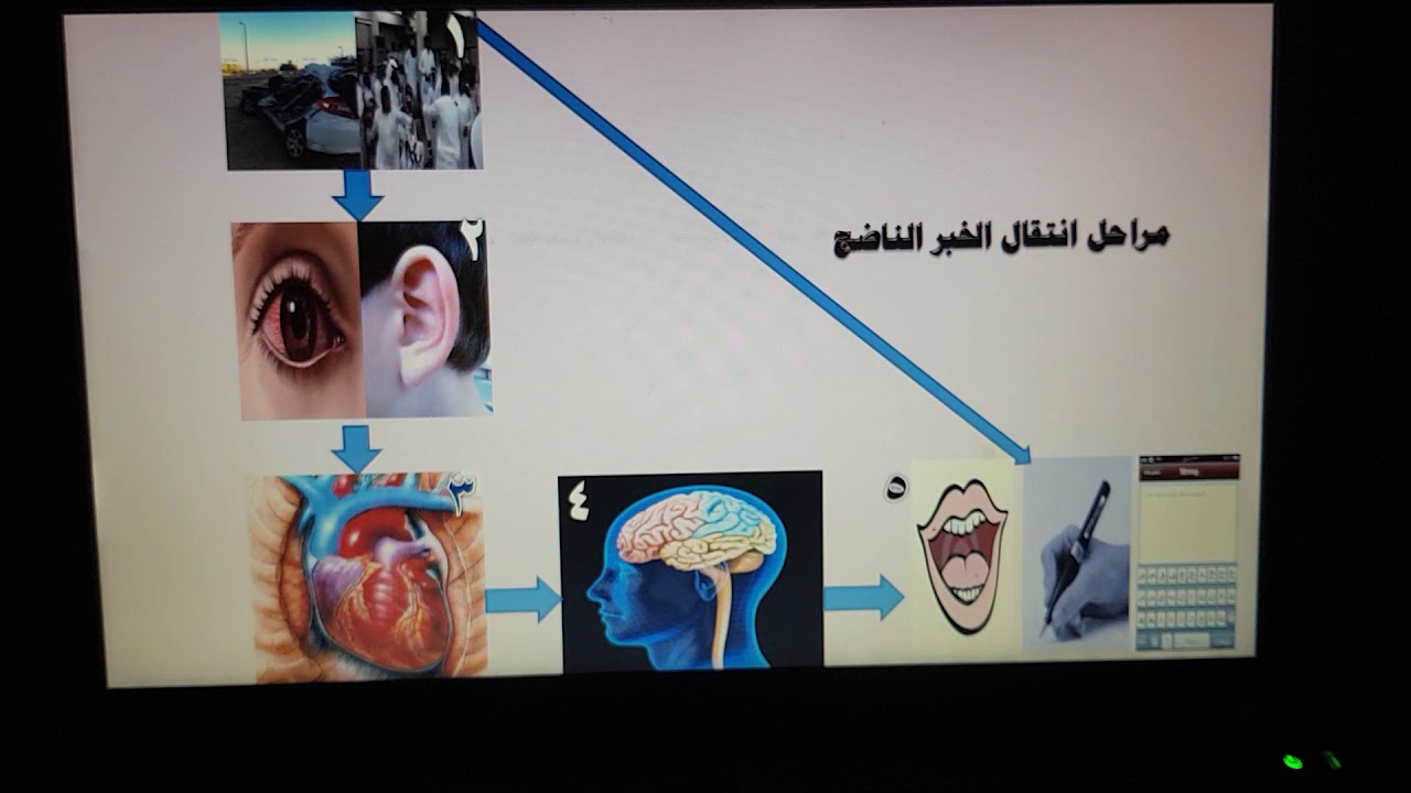 مراحل انتقال الخبر الناضج والسامج