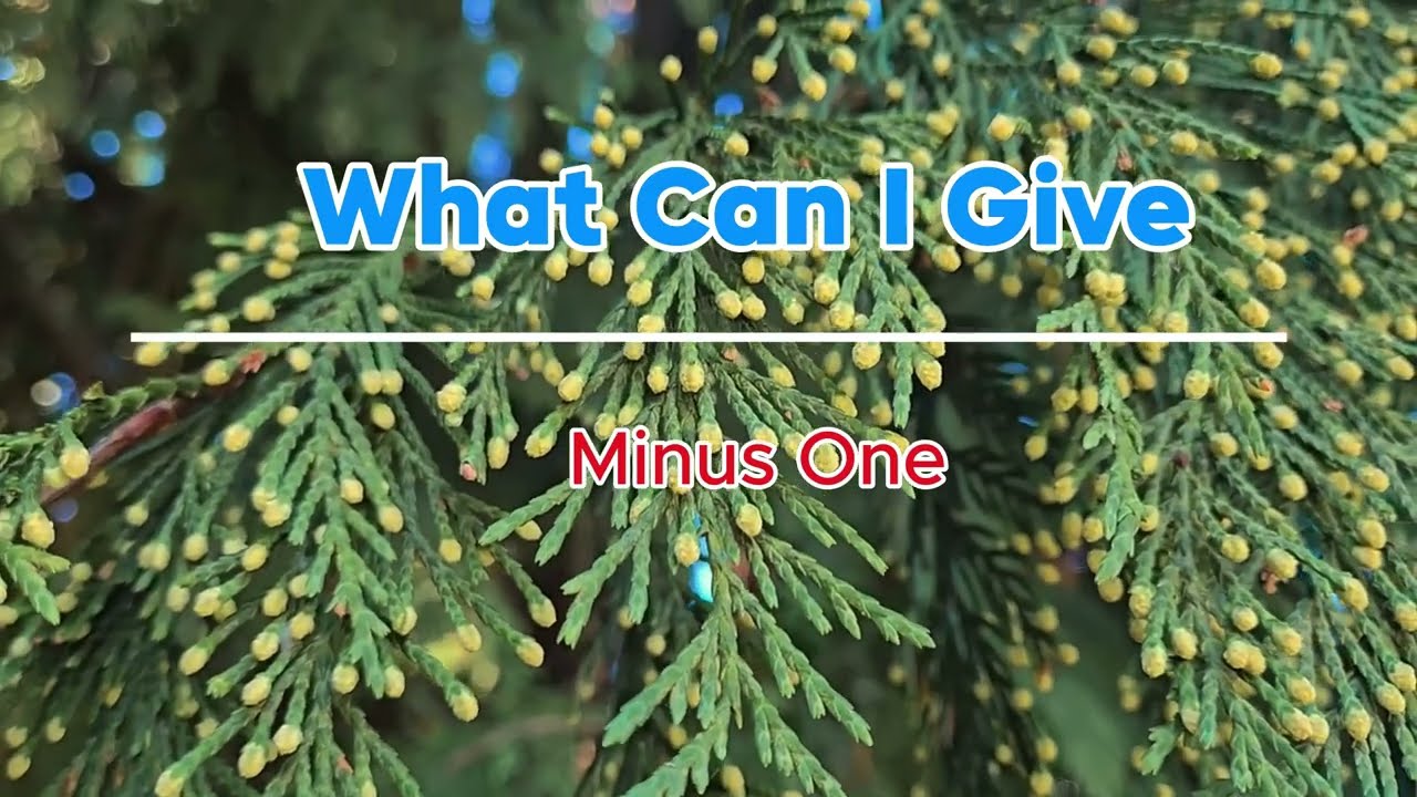 What Can I Give Minus One