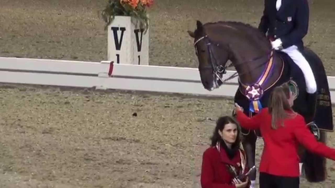 Awards - FEI CDI-W Grand Prix Freestyle - Evening Of Musical Freestyles 2015