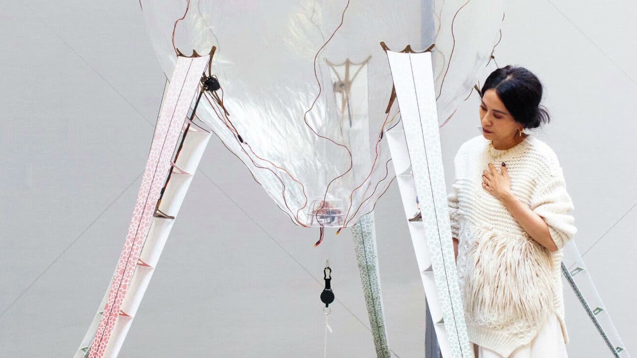 Mysterious Machines: Anicka Yi