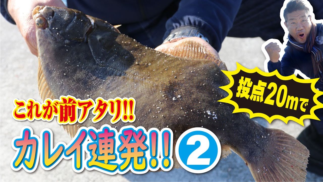 【実釣編】投点20メートルで連発させる!港内カレイの基本を紹介! 安近短
