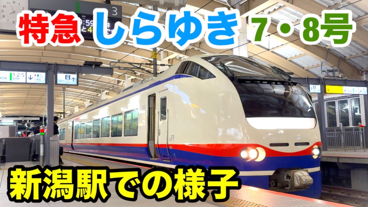 新潟駅での特急”しらゆき7・8号”に注目！(2025年ダイヤ改正前)