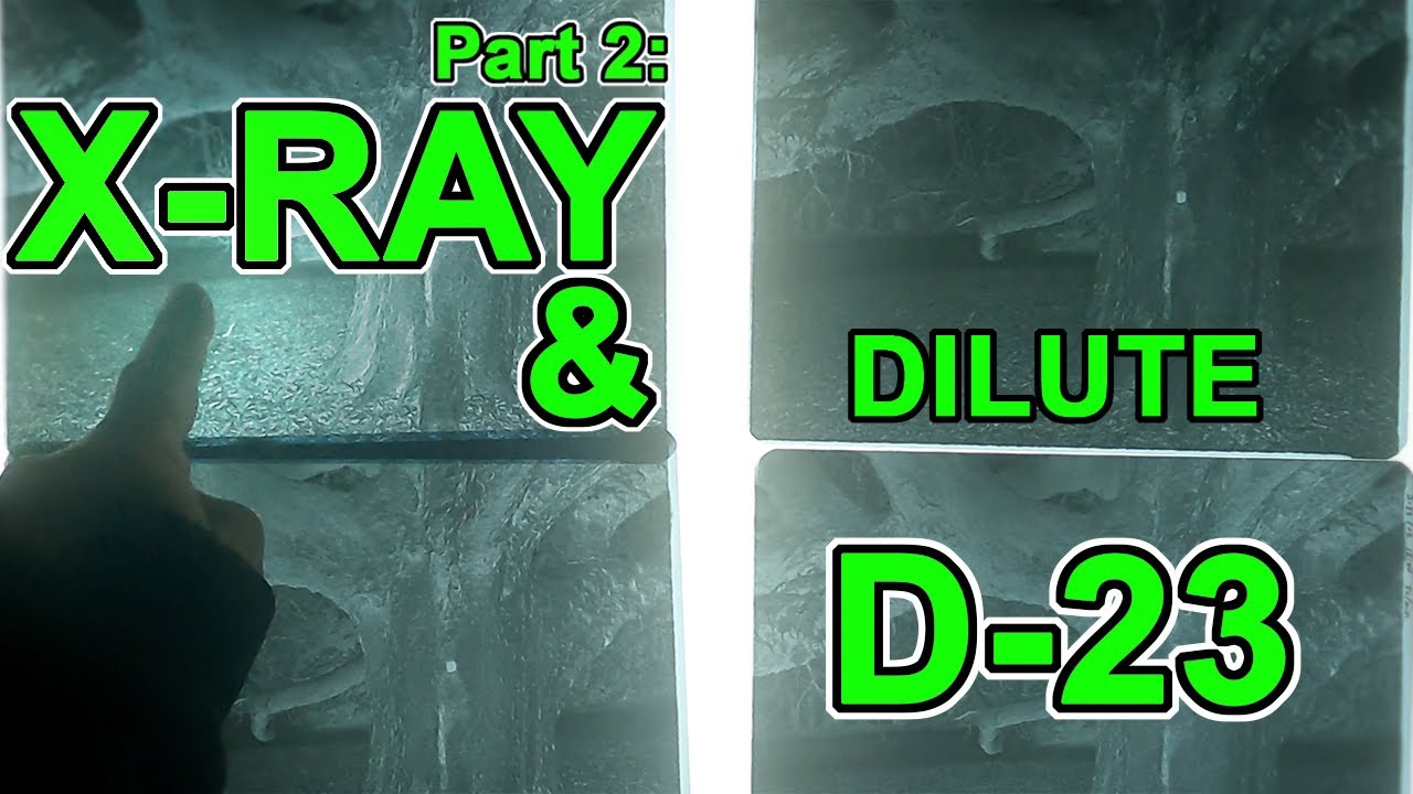 X-RAY Film & Dilute D-23 Test