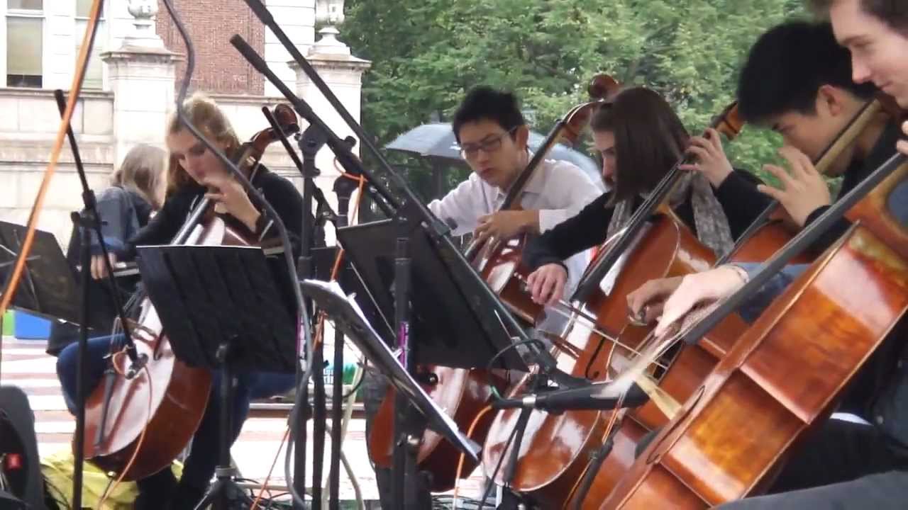The Merry-Go-Round of Life - Joe Hisaishi (String Theory Cover)