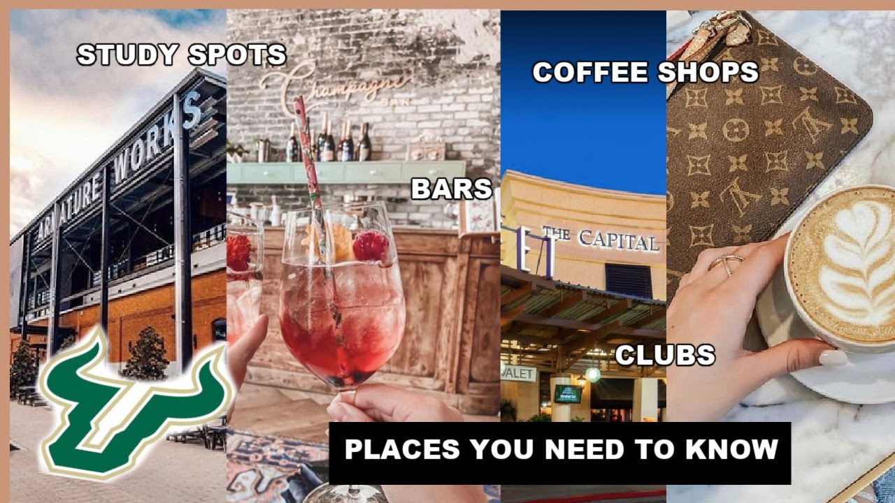 UNIVERSITY OF SOUTH FLORIDA: PLACES YOU NEED TO KNOW ABOUT! Living in Tampa