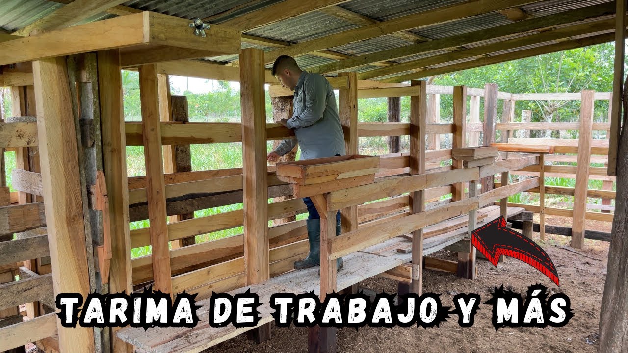 ¡Mejoras NECESARIAS en un CORRAL GANADERO!