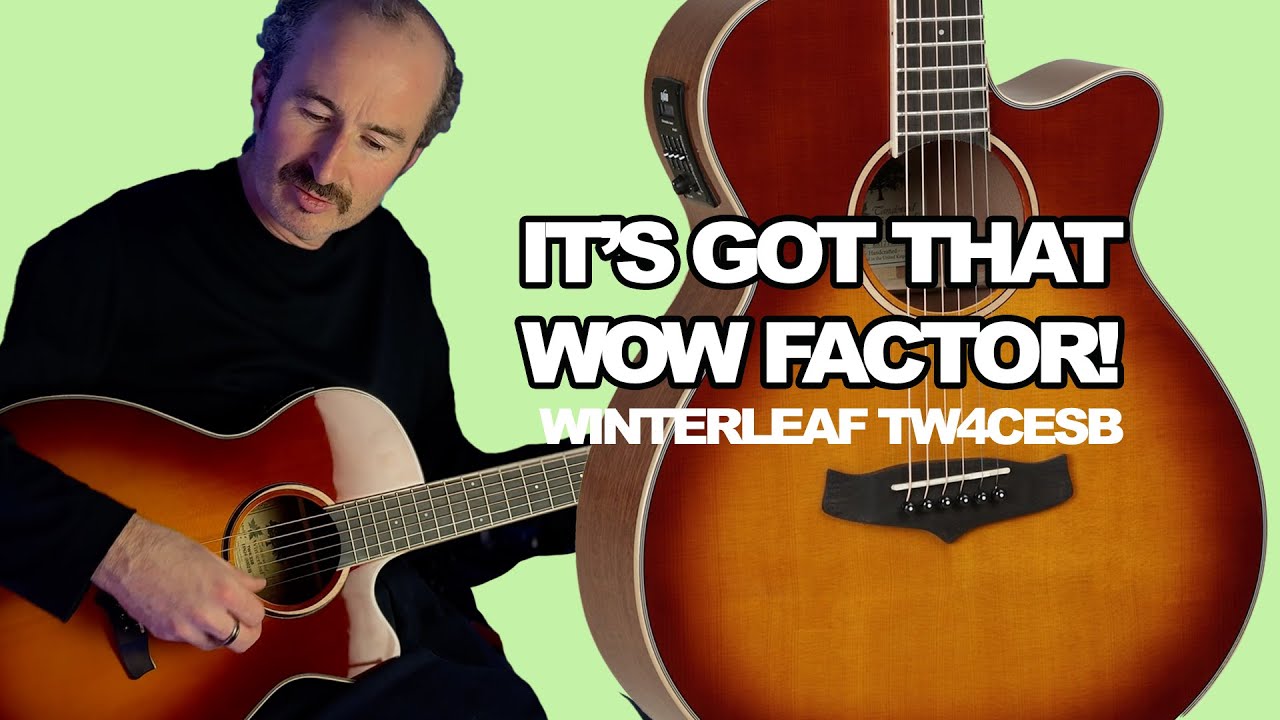 Overview: The Tanglewood Winterleaf TW4CESB w/ Damien Nolan