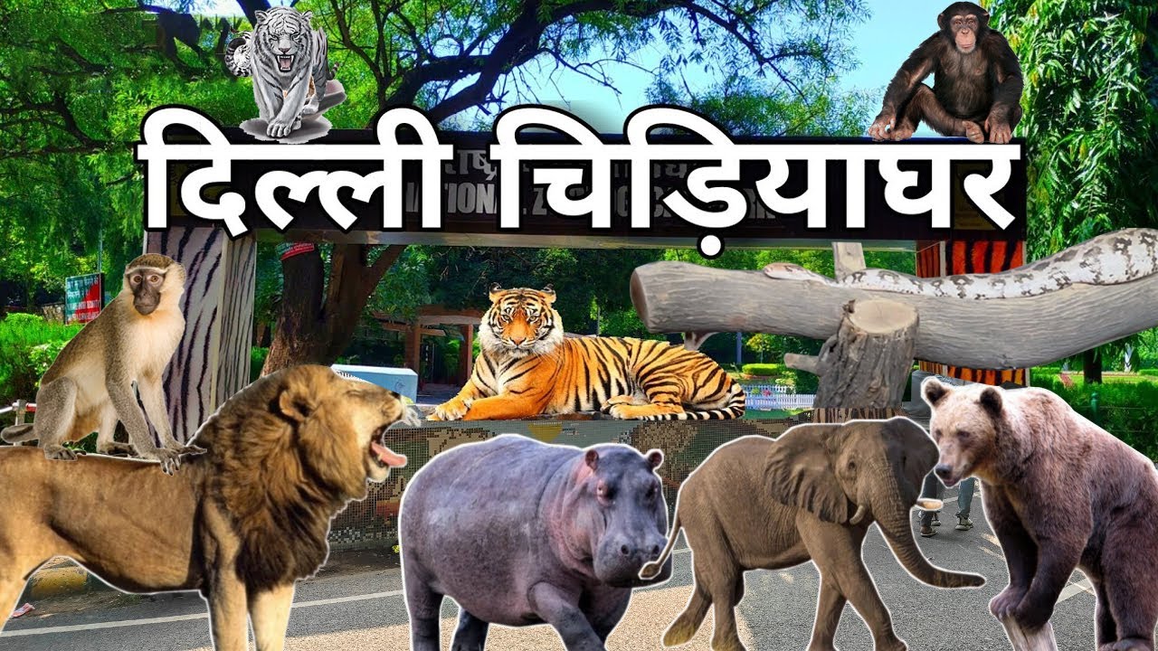 दिल्ली का चिड़ियाघर  - Delhi Zoo - Delhi Zoo Online Ticket Booking, Price - National Zoological Park