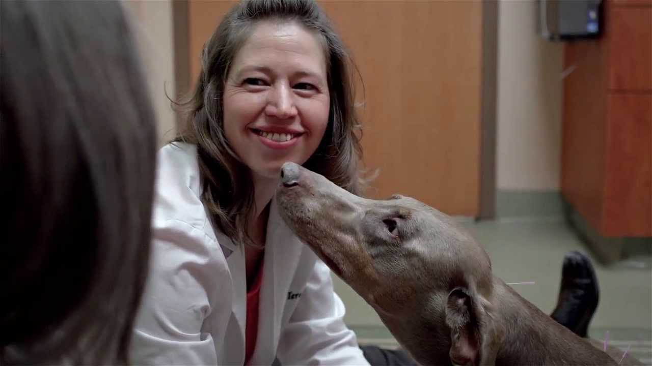 Westgate Pet Clinic - Minneapolis, MN (612)925-1121