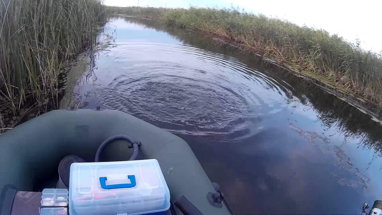 01.08.2015г. р.Чаглинка, район Психоневрологического диспансера.