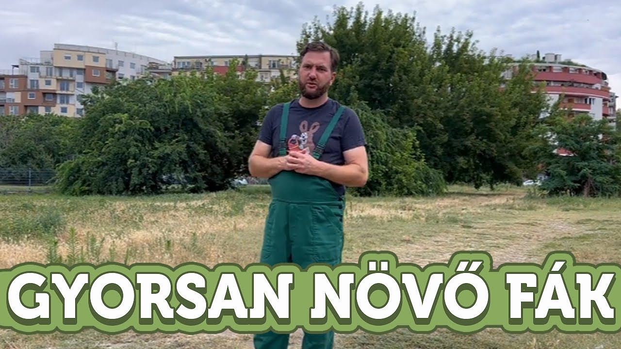 Gyorsan nővő fák, amelyeket nem forgalmaznak a kertészetek | Megyeri Szabolcs