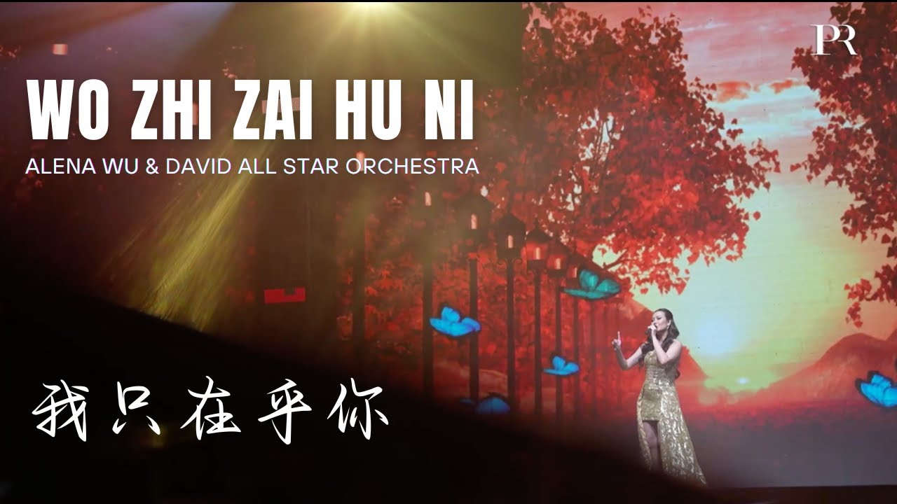 Wo Zhi Zai Hu Ni - 我只在乎你 -   Alena & David All Star Orchestra