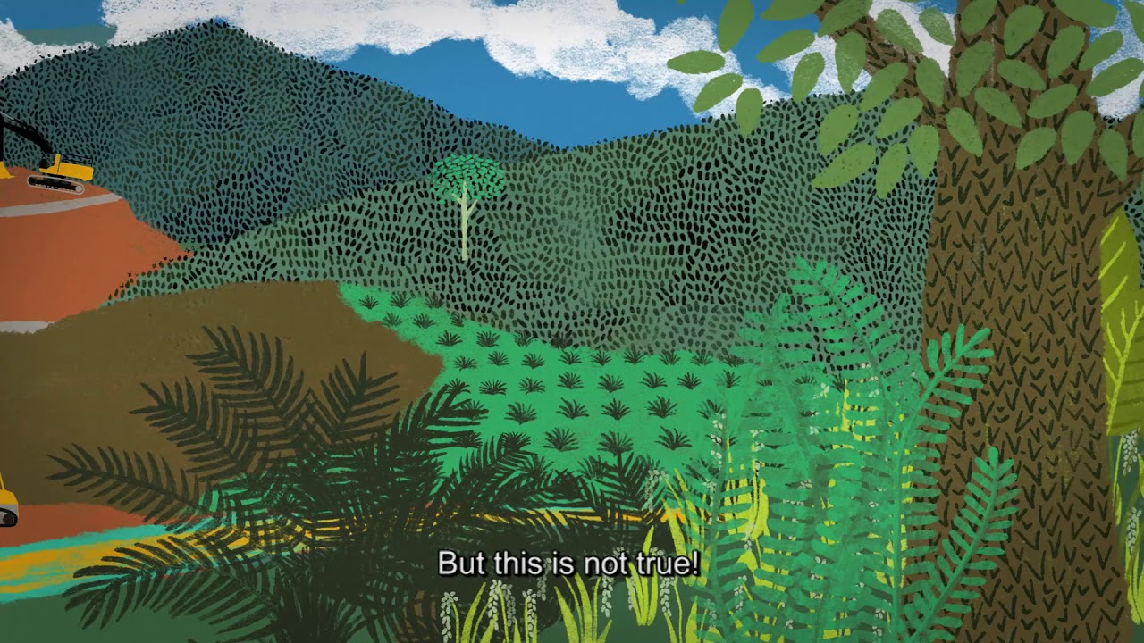 A Story of Shifting Cultivation