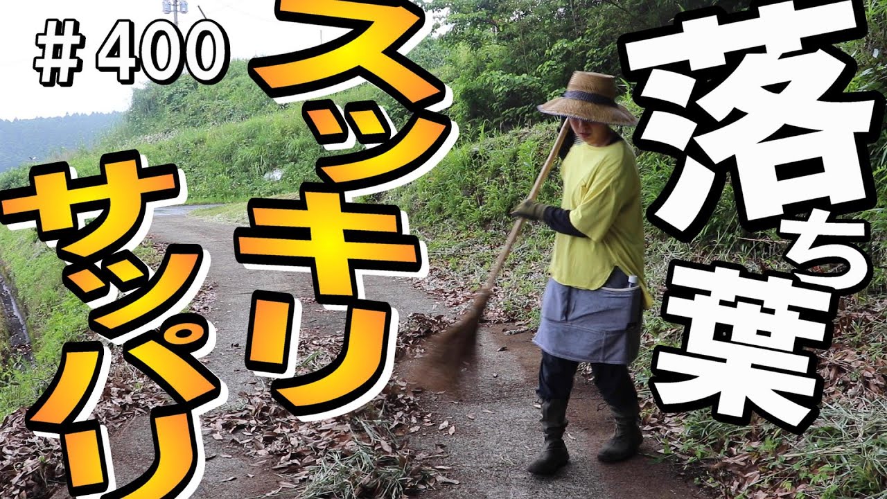 竹箒一本で落ち葉掃除したら暑くて塩日向夏ジュースが最高にうまかった