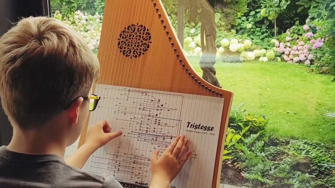 Tristesse - Chopin on the Veeh-Harp