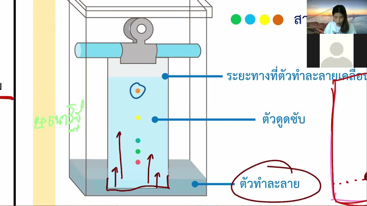 การแยกสารละลาย แบบโครมาโทกราฟี่แบบกระดาษ