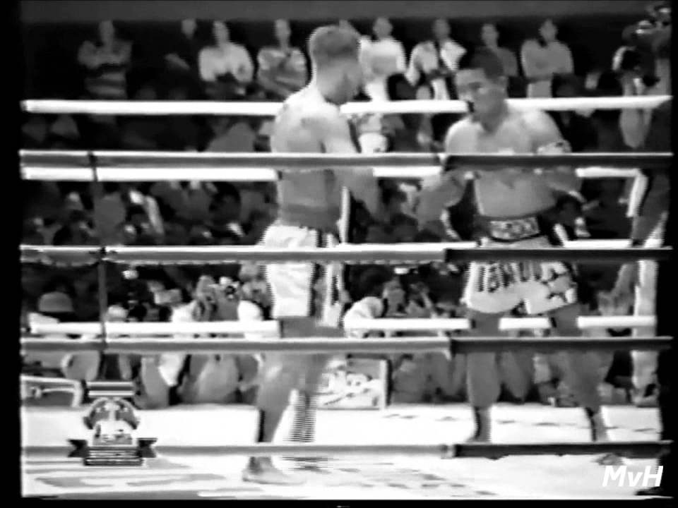 Ramon Dekkers vs Thai highlight 2014